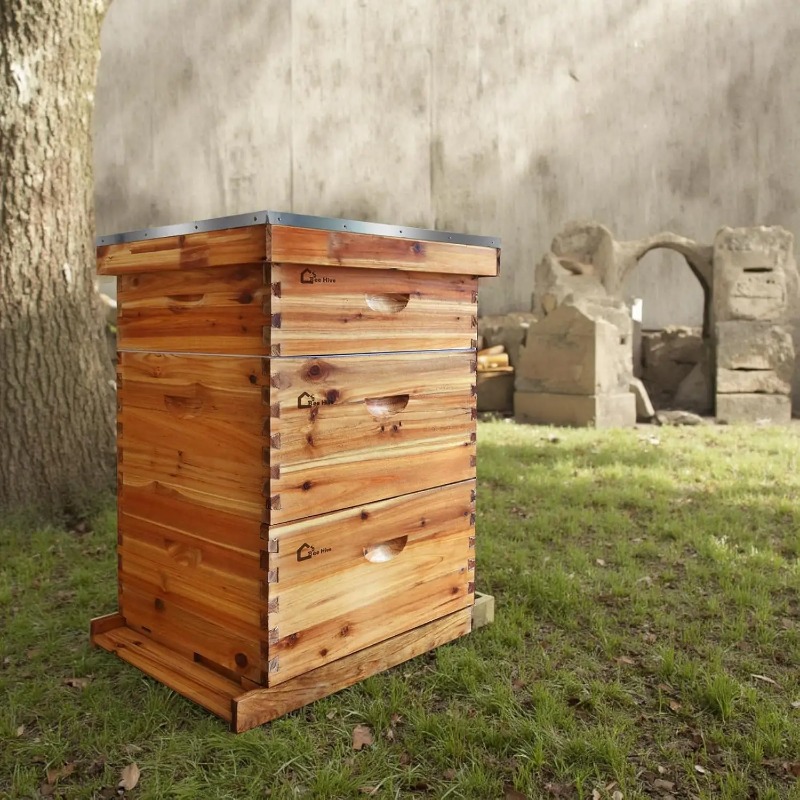 Beehive Frame Wax - Kit Sarang Lebah Lengkap 10 Bingkai,