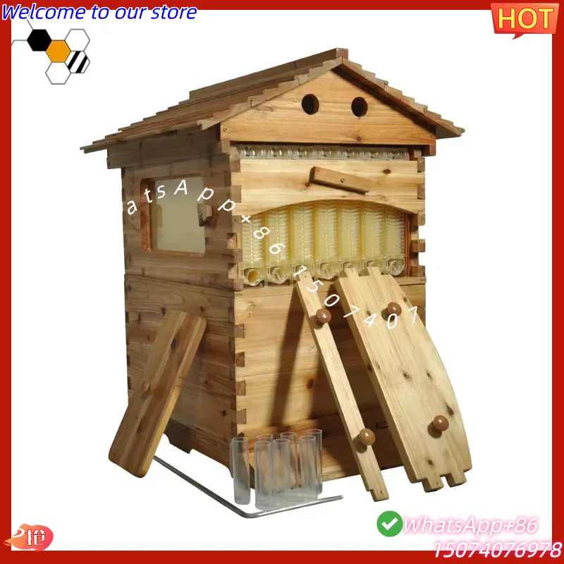 Beehive Frame Wax - Sarang Lebah Otomatis Aliran Madu Sendiri