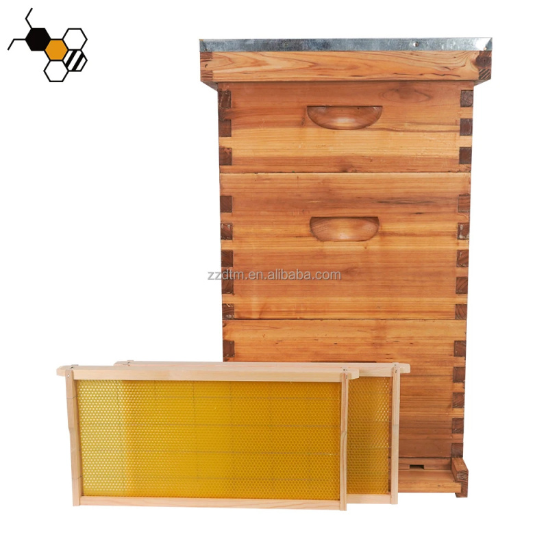 Beehive Frame Wax - Kit Sarang Lebah Berkualitas Tinggi 30