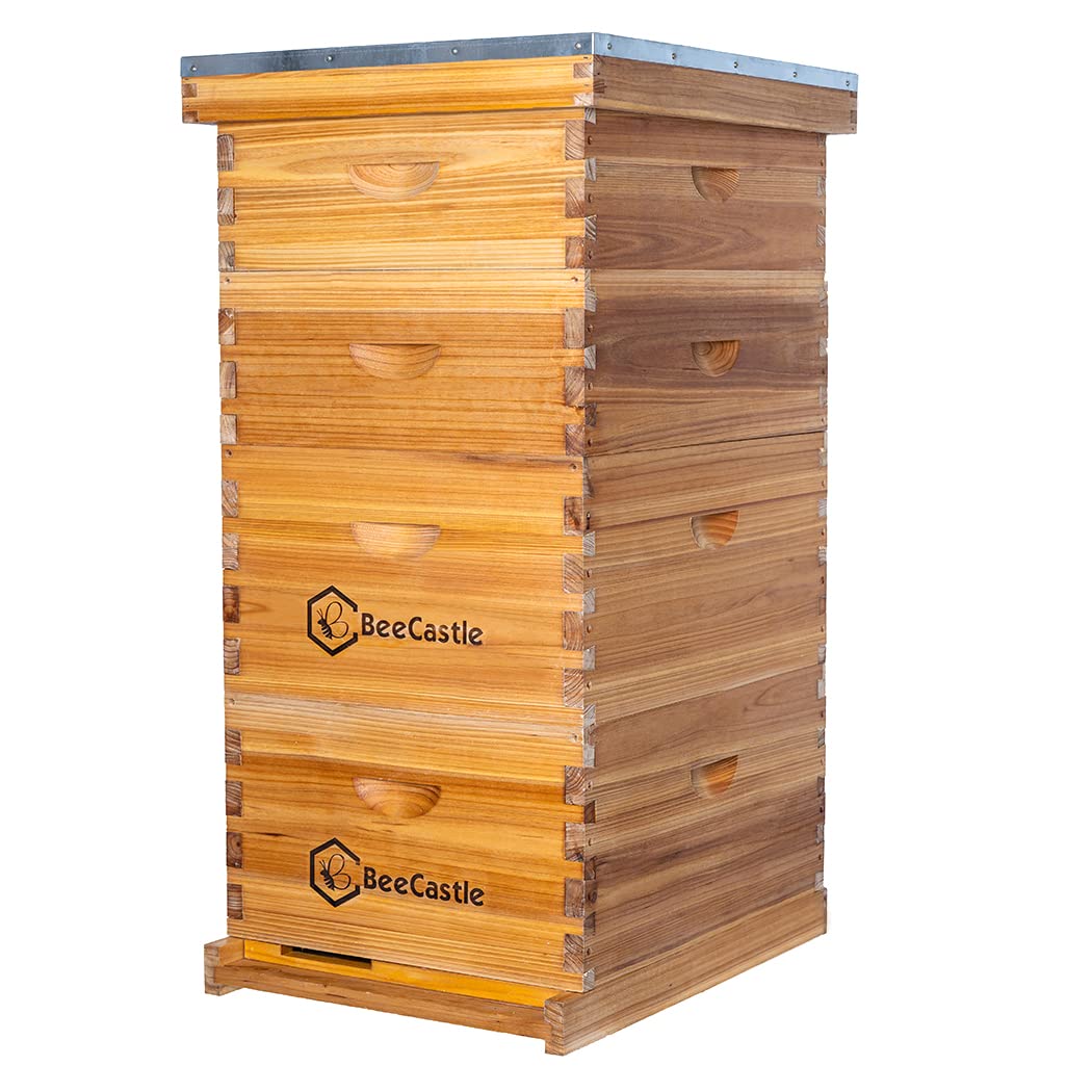Beehive Frame Wax - 10 Bingkai Sarang Lebah Langstroth Berlapis