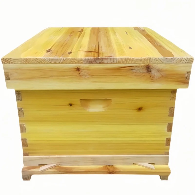Beehive Frame Wax - Sarang Lebah di Kotak Lebah, Satu