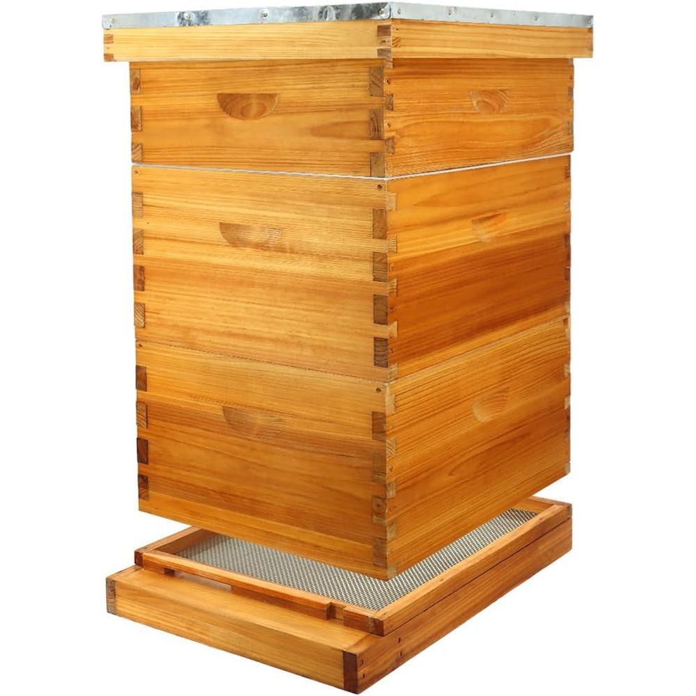 Beehive Frame Wax - Kit Sarang Lebah 10 Bingkai dengan