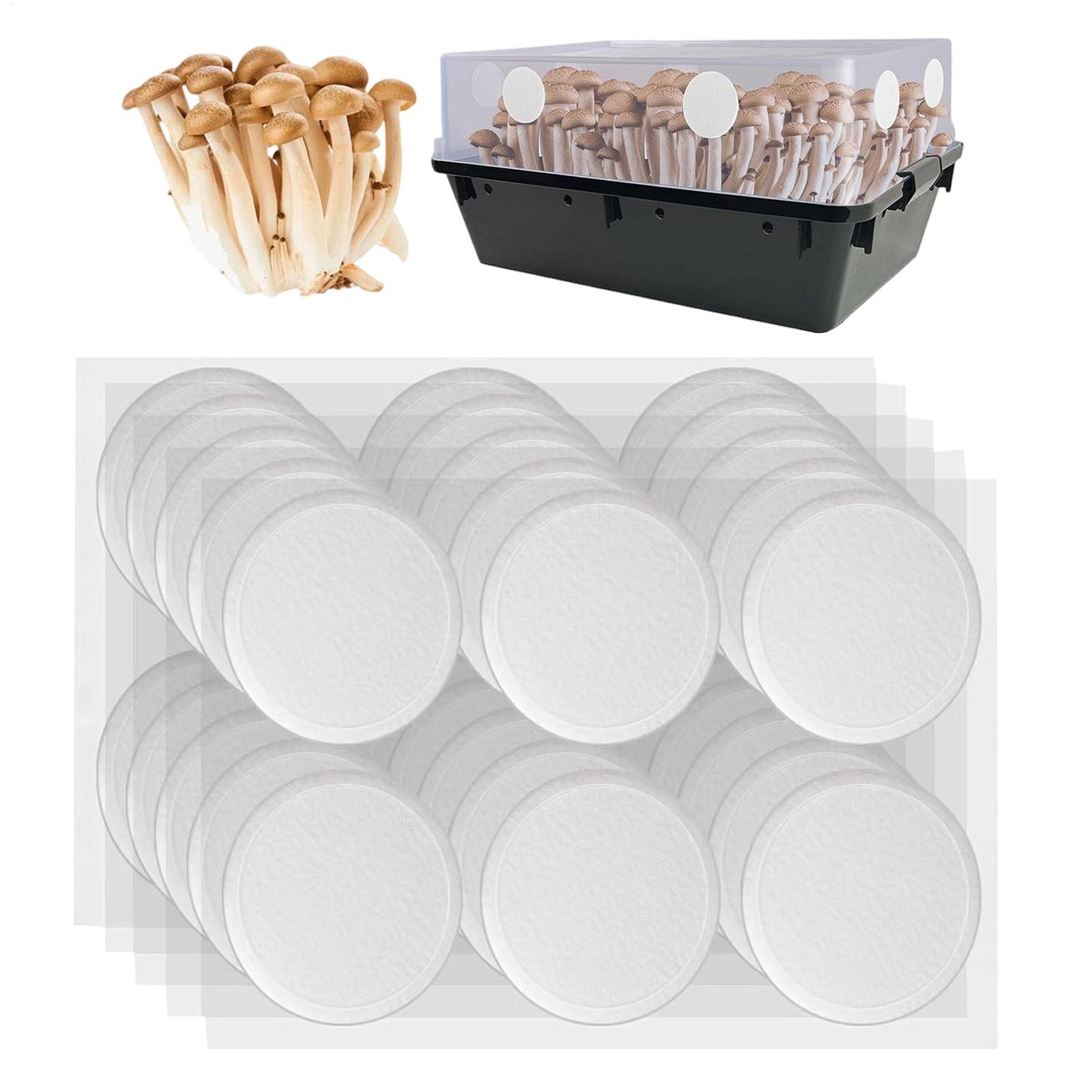 Mushroom Spawn Bag - 30 Buah Disk Filter Perekat Bernapas