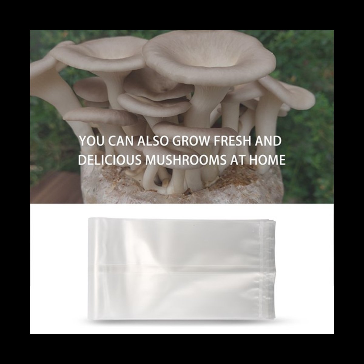 Mushroom Spawn Bag - A78I 50 Kantong Jamur/Kantong Budidaya Jamur/Bahan