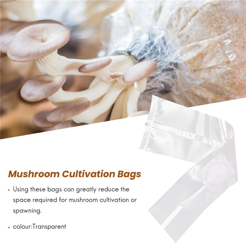AT84-100Pcs Kantong Tumbuh Jam - Mushroom Spawn Bag ulasan dan harga