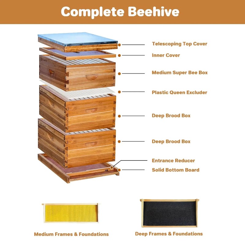 Kit Sarang Lebah Lengkap 10 Bi - Beehive Frame Wax ulasan dan harga
