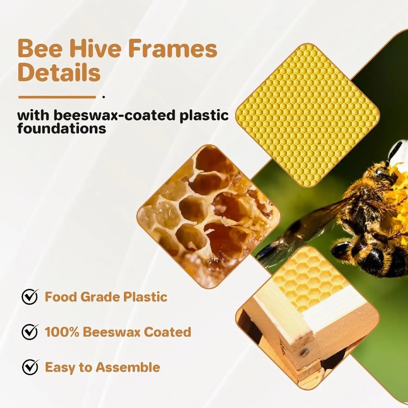Kit Sarang Lebah Lengkap 10 Bi - Beehive Frame Wax ulasan dan harga