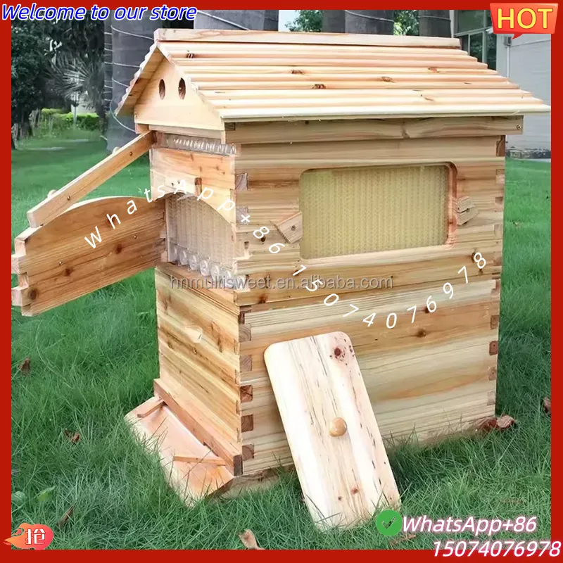 Sarang Lebah Otomatis Aliran M - Beehive Frame Wax ulasan dan harga