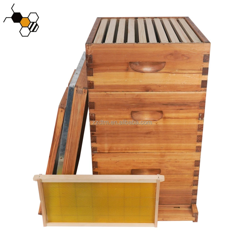 Kit Sarang Lebah Berkualitas T - Beehive Frame Wax ulasan dan harga