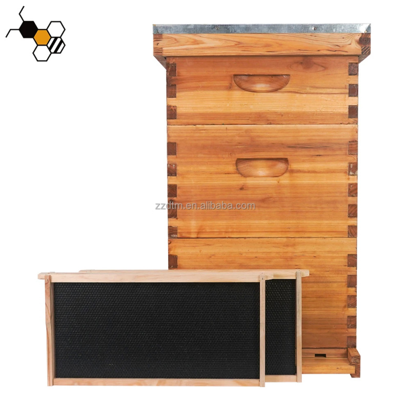 Kit Sarang Lebah Berkualitas T - Beehive Frame Wax ulasan dan harga