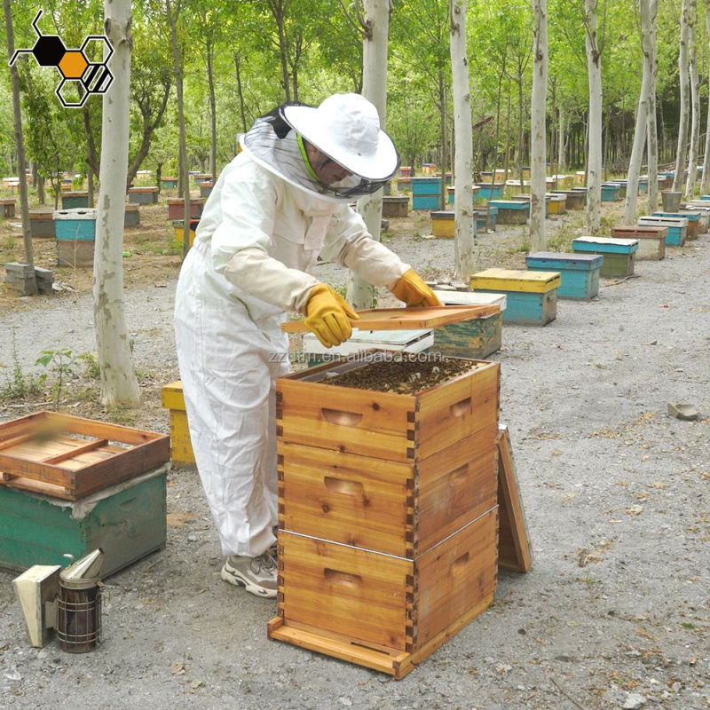Kit Sarang Lebah Berkualitas T - Beehive Frame Wax ulasan dan harga