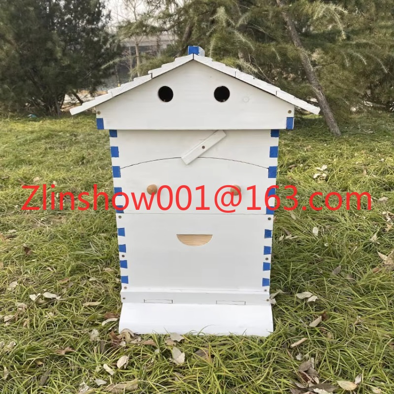 Harga Pabrik Sarang Lebah Otom - Beehive Frame Wax ulasan dan harga