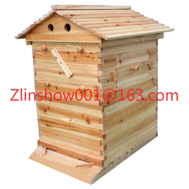 Harga Pabrik Sarang Lebah Otom - Beehive Frame Wax ulasan dan harga