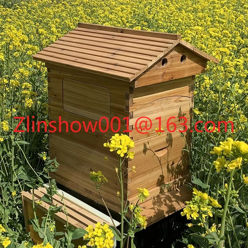 Harga Pabrik Sarang Lebah Otom - Beehive Frame Wax ulasan dan harga