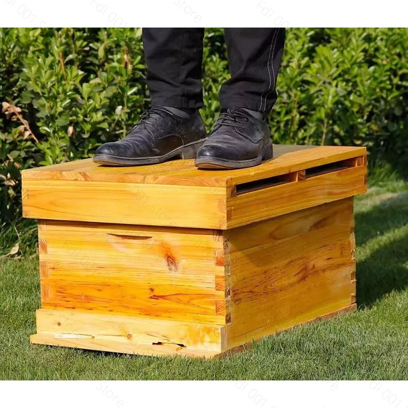 Perlengkapan Sarang Lebah Leng - Beehive Frame Wax ulasan dan harga