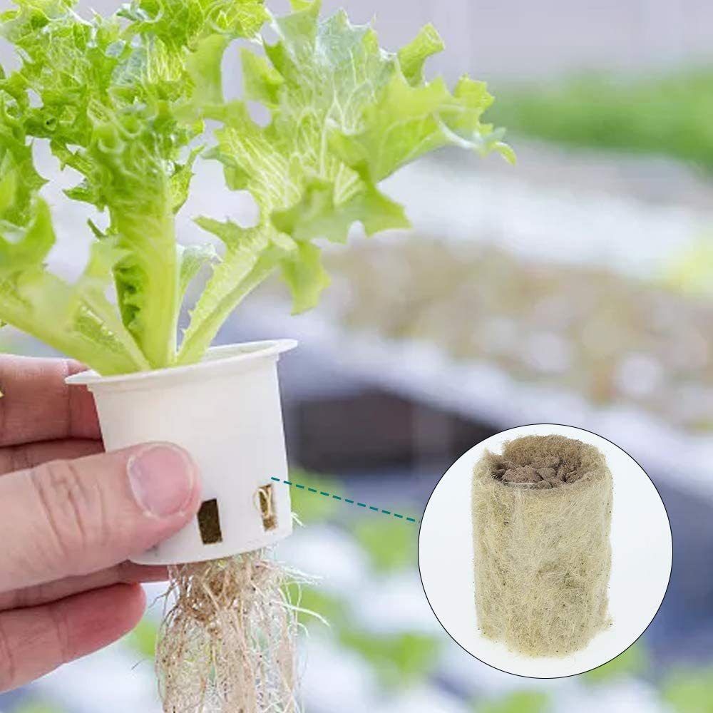 50PCS Blok Bibit Hidroponik Uk - Nursery Plug Tray ulasan dan harga