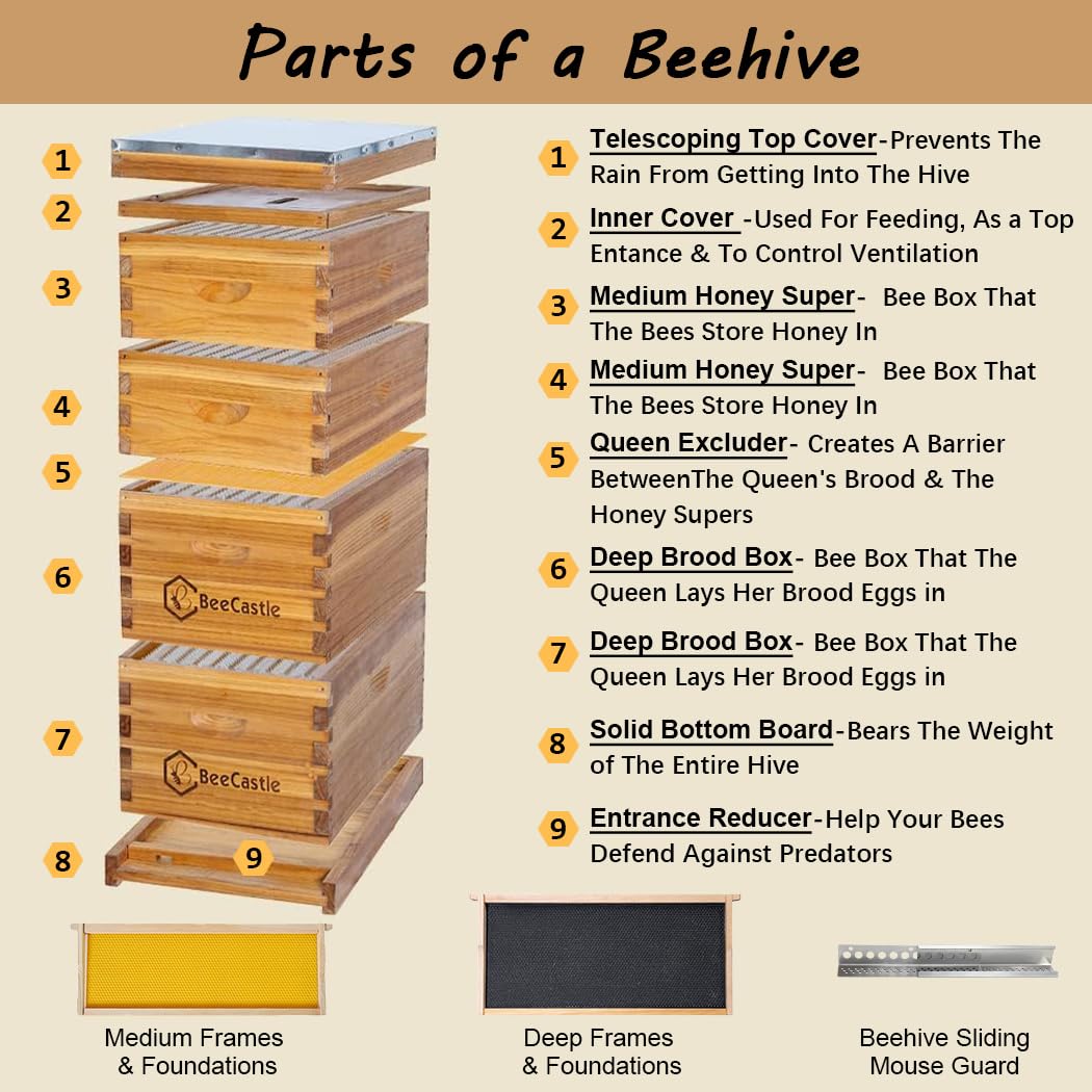 10 Bingkai Sarang Lebah Langst - Beehive Frame Wax ulasan dan harga