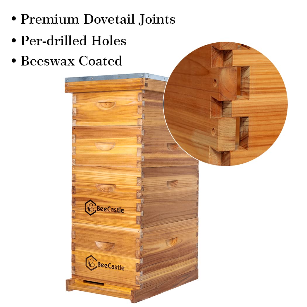 10 Bingkai Sarang Lebah Langst - Beehive Frame Wax ulasan dan harga
