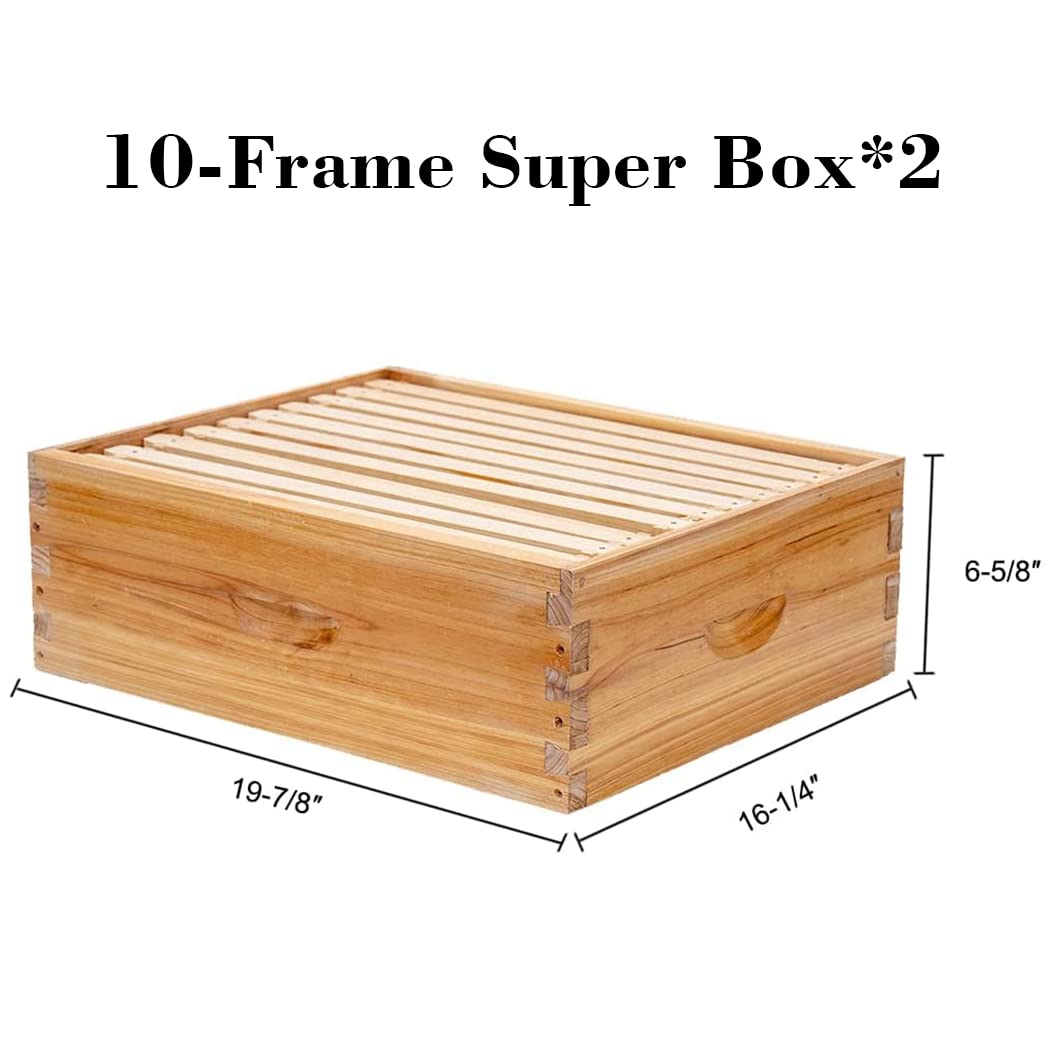 10 Bingkai Sarang Lebah Langst - Beehive Frame Wax ulasan dan harga