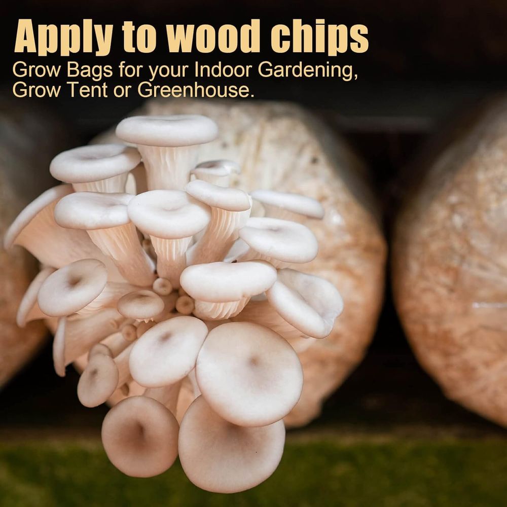 Kantong Bibit Jamur, 20Pcs Kan - Mushroom Spawn Bag ulasan dan harga