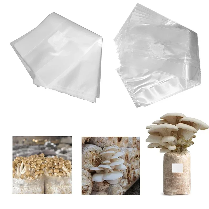 10/20 Buah Kantong Penanam Jam - Mushroom Spawn Bag ulasan dan harga