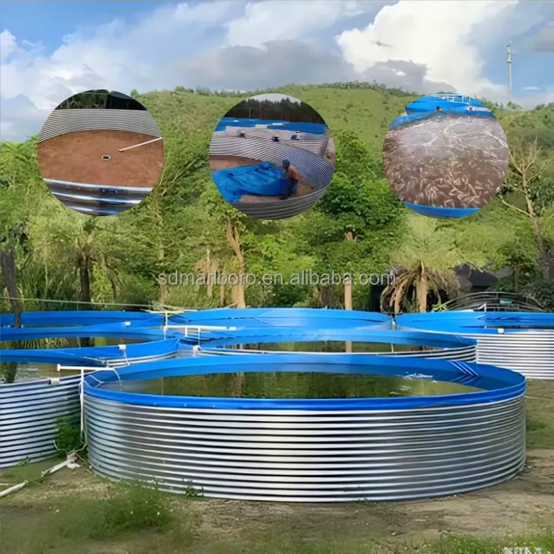 Kolam Terpal SDM untuk Tangki  - Farming Agriculture Stocks ulasan dan harga
