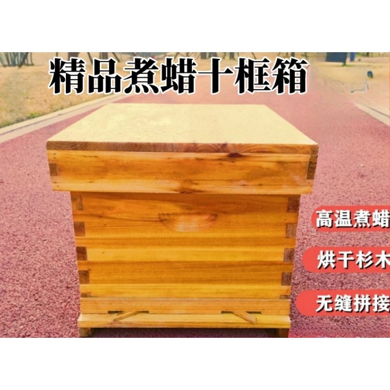 Sarang Lebah di Kotak Lebah, S - Beehive Frame Wax ulasan dan harga