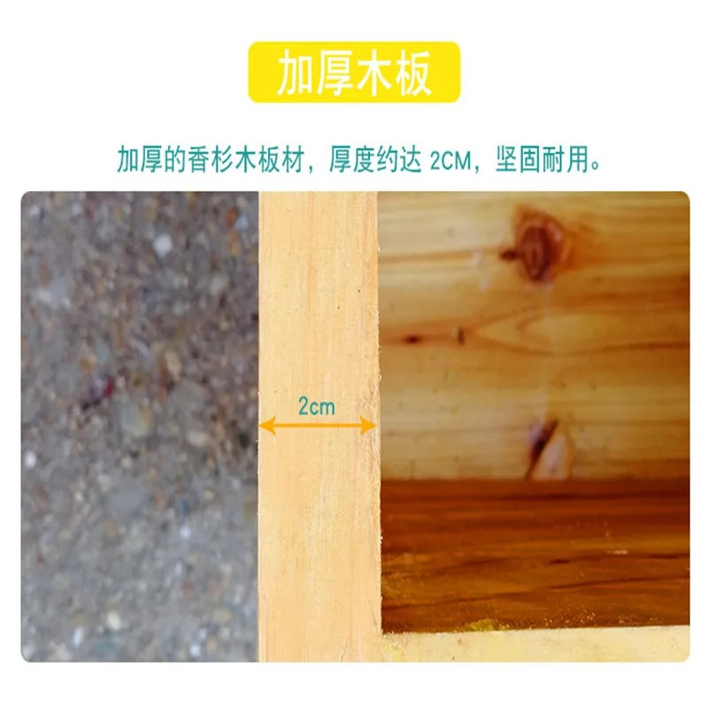 Sarang Lebah di Kotak Lebah, S - Beehive Frame Wax ulasan dan harga