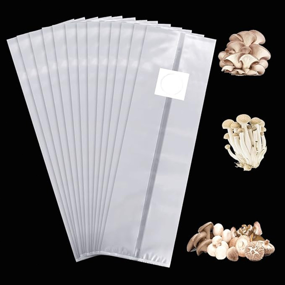 50PCS Blok Bibit Hidroponik Uk - Nursery Plug Tray ulasan dan harga