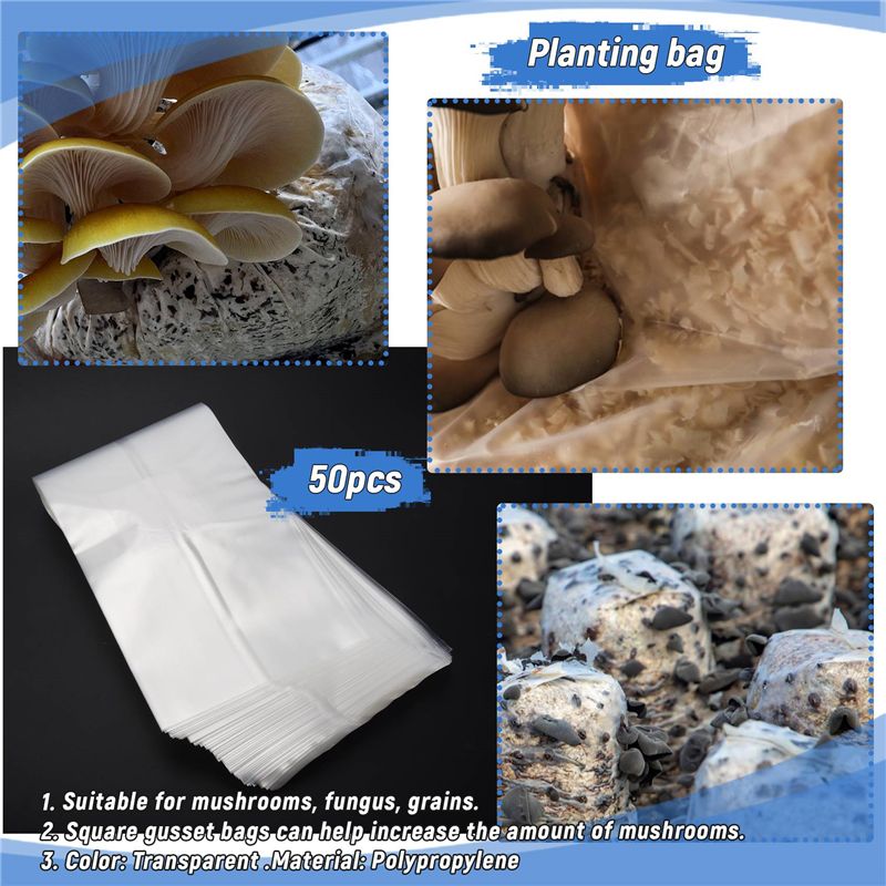 ABSJ-50Pcs Kantong Tumbuh Jamu - Mushroom Spawn Bag ulasan dan harga
