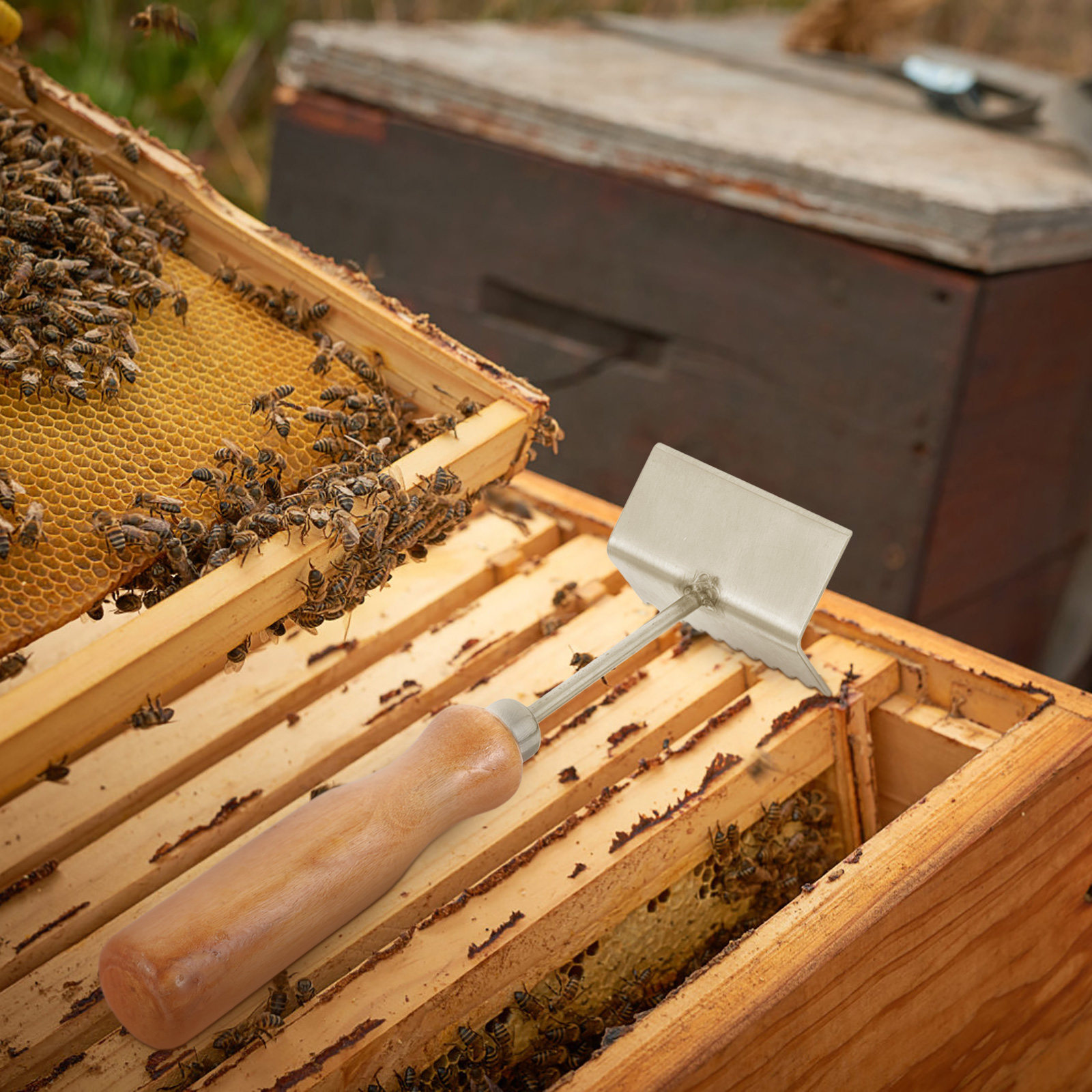 Sekop Peternak Lebah Profesion - Beehive Frame Wax ulasan dan harga