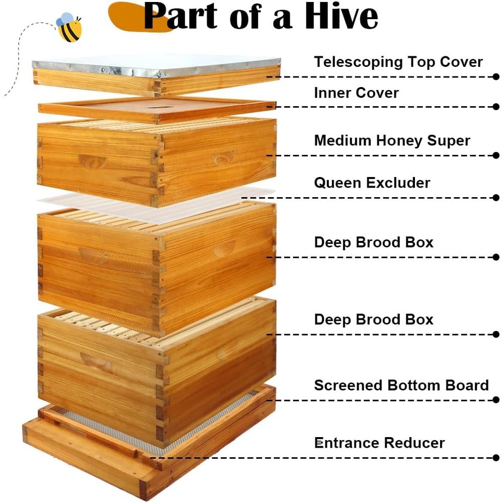 Kit Sarang Lebah 10 Bingkai de - Beehive Frame Wax ulasan dan harga