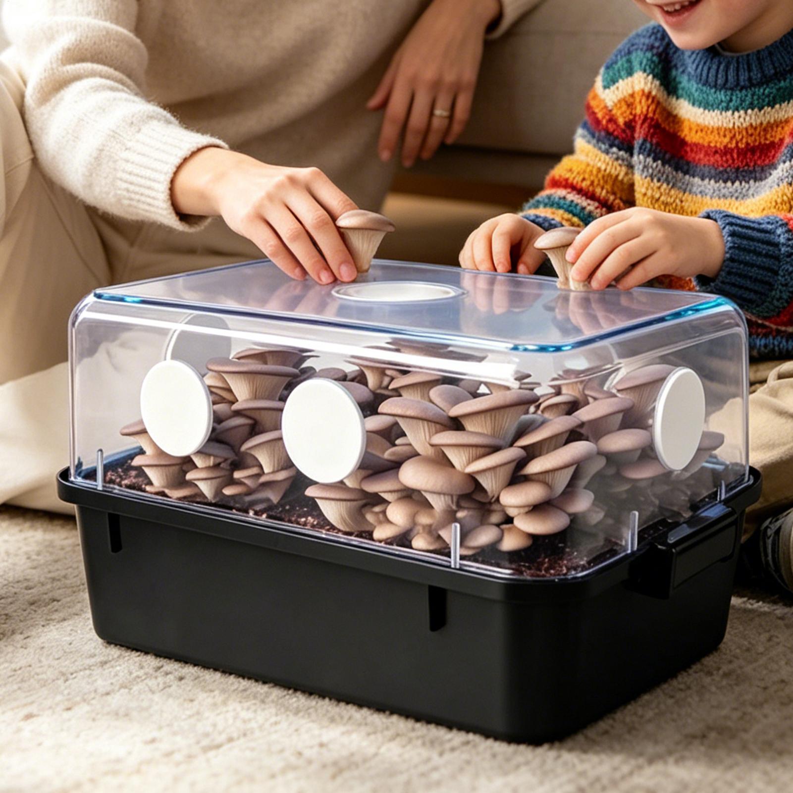 30 Buah Disk Filter Perekat Be - Mushroom Spawn Bag ulasan dan harga