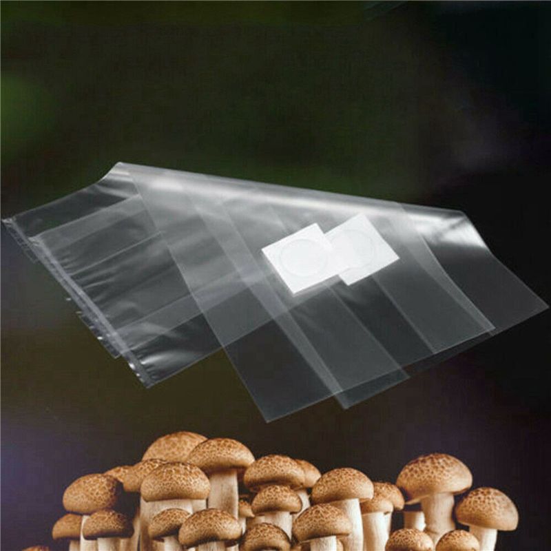 AT44-100Pcs Kantong Substrat J - Mushroom Spawn Bag ulasan dan harga