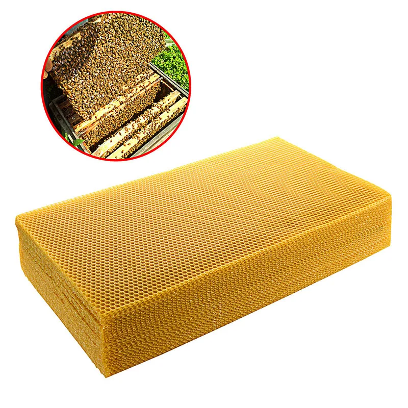 30pcs/pak Sarang Lebah Alas Sa - Beehive Frame Wax ulasan dan harga