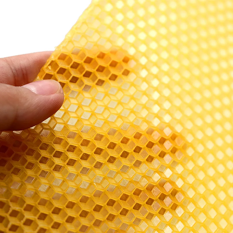 30pcs/pak Sarang Lebah Alas Sa - Beehive Frame Wax ulasan dan harga