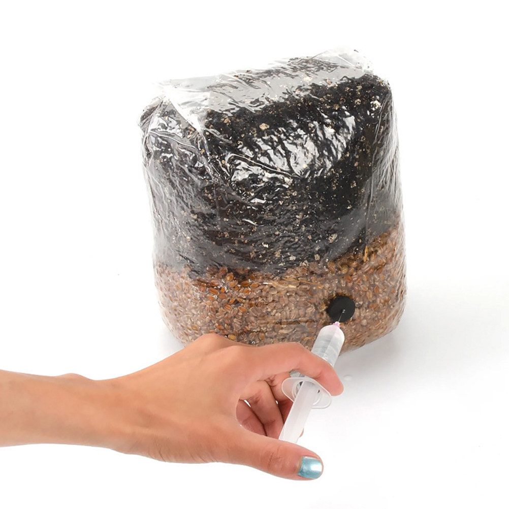 20Pcs Kantong Penyemai Jamur T - Mushroom Spawn Bag ulasan dan harga
