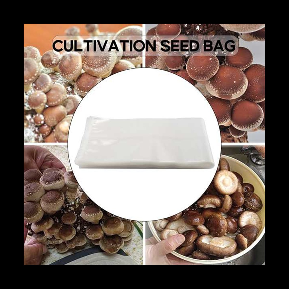 A78I 50 Kantong Jamur/Kantong  - Mushroom Spawn Bag ulasan dan harga